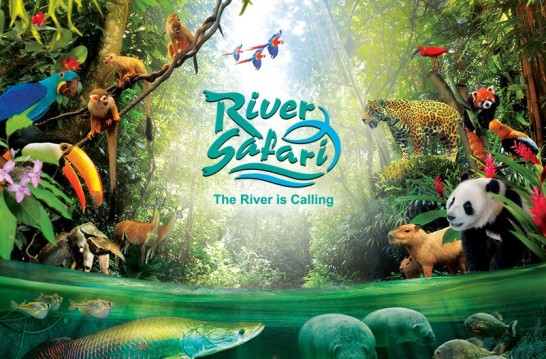River-Safari